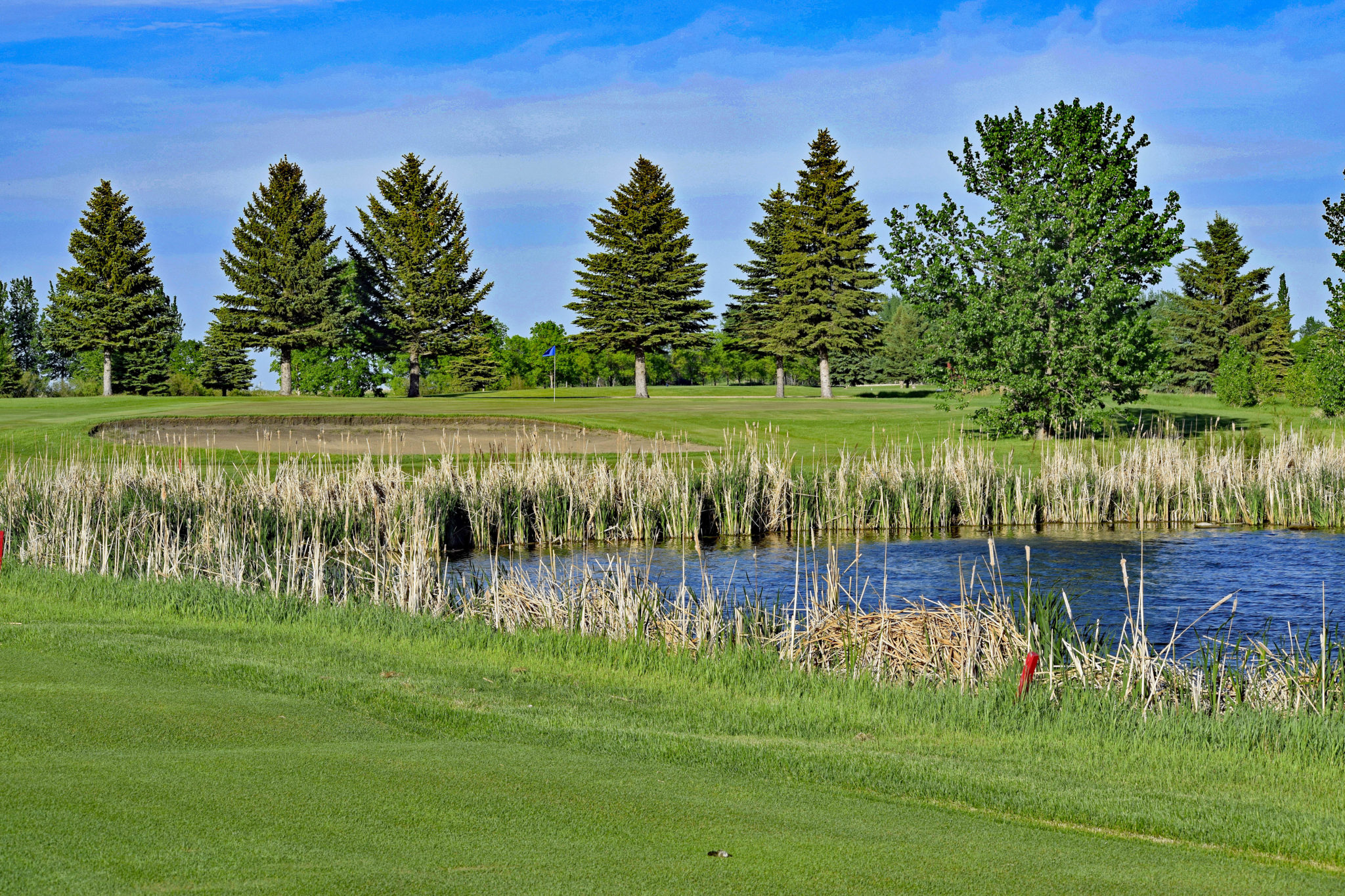 View of pond on golf course